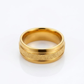 Solar Dust Ring