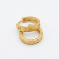 The Icon Hoops