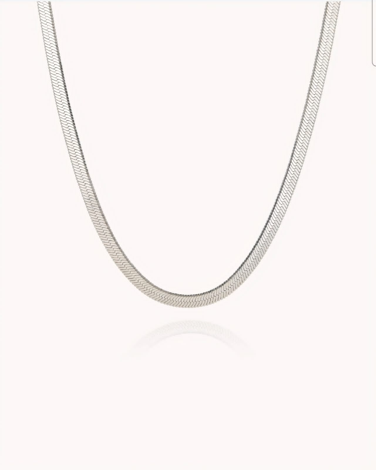 Snake Bone Necklace